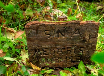 wooden grave marker medaris